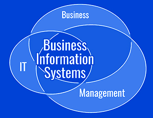 Business information systems graphic